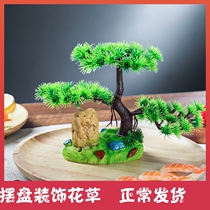 Hotel sashimi platter dishes plate decoration flower and grass artistic conception sushi pine embellishment Japanese style