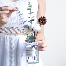 Nordic INS Home Residence Decoration Goods Furnishing Dry Flowers Small Clear New Cotton Bouquet Pine Fruit Pendulum Pieces Yoncino Red Flowers Bottle