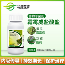 强尔双泰 霜霉威盐酸盐 黄瓜葡萄玫瑰白菜霜霉病晚疫病农药杀菌剂