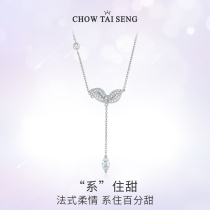 Zhou Dasheng bow necklace female summer sterling silver choker wild light luxury niche 2021 new birthday gift