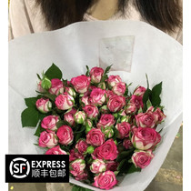 (Limited edition)Fresh red-edged multi-head Rose A-grade Leo 10 tied more than 35 buds