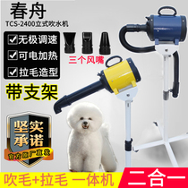 Spring boat vertical beauty styling blowing water machine TCS-2400 Puppy bathing Rairy teddy pet hair dryer