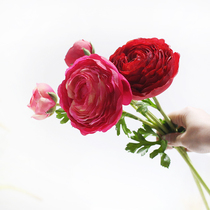 Sicilian emulation floral lotus home decoration flower livingroom floral floral floral pendulum with table bouquet of flowers