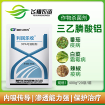 Liminle 90% aluminum triethylphosphonate tomato grape cucumber late blight downy mildew pesticide fungicide 400g