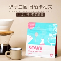 Minato Taste BOP Competition winner General Panama Donkey Manor Sun-dried Kaduai Boutique Coffee Beans 120g