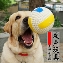 Yite pet toy vocal Labrador gold wool large dog grindle resistant to bite training supplies ball dog toy ball