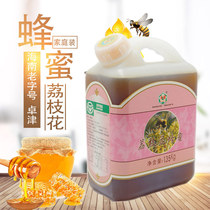 Hainan long-established Zhuojin Litchi flower honey affordable large-capacity packaging volcano Litchi flower nectar source