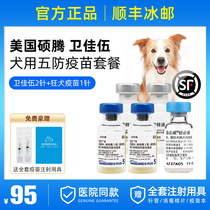 American Sultan Wei - woo Pet Watjia 5 Vaccine Rabies Vaccine Dog Puppy Vaccine Couple Meal Needle