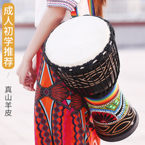Former Valley Sheepskin Lijiang Tambourine African Drum Adult Beginners Professional Percussion Instrument Standard 10 Inch 12 Inch