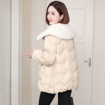 zqqz2021 new whole mink mink fur collar fur goose down jacket female temperament Big Brand skinny coat 1828
