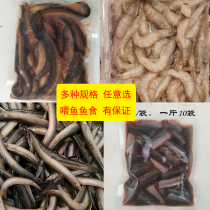 Frozen loach mucus-removing loach segment feeds fish food frozen loach frozen shrimp river shrimp dragon fish fish fish food