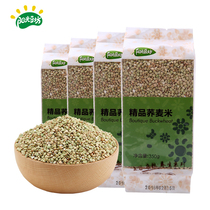 Sunshine Bean Square boutique buckwheat rice 4 bags 350g buckwheat buckwheat buckwheat rice grains coarse grains rice triangle wheat rice