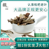 Humble words Loquat leaves dry Loquat leaves old leaves to remove hair dry goods Pipa leaves roasted batch of leaves to make tea and water non-fresh medicinal use