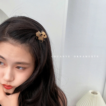 Kawano acetic acid small grab clip female Japanese and Korean temperament hairclip back of the head hairpin Net Red simple clip headgear shark clip