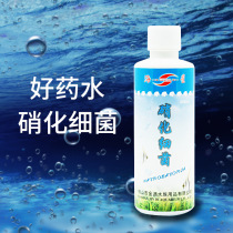 Fish tank aquarium potion nitrifying bacteria purifying agent sterilization and chlorinating water fish medicine white spot disease liquid fertilizer water