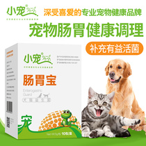 Little pet gastrointestinal Treasure Pet probiotics Golden Labrador teddy dog cat diarrhea appetite conditioning