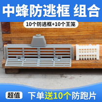 The King anti-escape frame anti-running King film plastic prisoner King cage combination multi-function King beekeeping tool combination