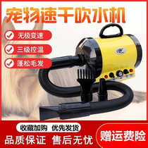 Large air volume blowing hair multi-purpose upgrade handheld strong wind bath hair dryer temperature control pet blower living room