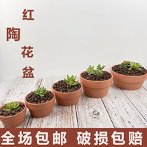 Flower pot special clearance fleshy green dill small flower pot plant large simple household clay tile clay ceramic flower pot