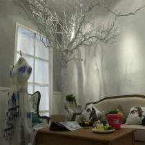 Dry branches Dry branches Trunk branches Decorative dead branches White branches Tree poles Simulation branches Fake branches Branches