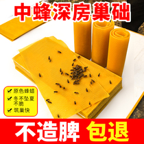 Bee brood in the bee nest foundation of the bee wax skin peak wax NEST base deep room nest spleen front Nest Foundation