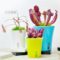 Water storage pot plastic lazy automatic absorbent flowerpot indoor hydroponic large small plant household flower plate with tray