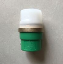 Weixing PPR pipe fittings special floor heating pipe PERT conversion PPR joint 20 25