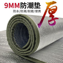 Moisture-proof mat thickened outdoor portable picnic cloth Water-proof picnic home tent Single dormitory sleeping mat Floor mat mat