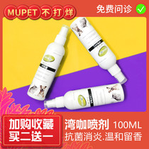 Bay Café Tinea Manning Cat Moss Spray Spray Pet Kitty Pooch Dermatophyte Skin Ringworm