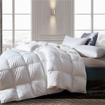 Luxurious Seven Star Class Hotel Poland 95% White goose down by duvet Warm Thickened Winter Quilt with double muted quilt core