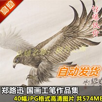 National Paintwork Pen HD Photo Zheng Lu Xuns work painting Set of 39 Zhangs full set of eagle bird design material to copy spray painting