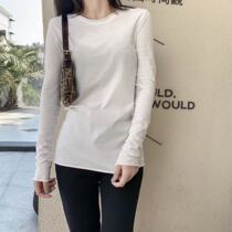 White t-shirt womens long-sleeved 2019 autumn and winter new wild thin cotton thin base shirt slim fit