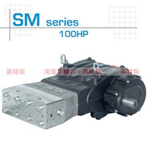 Pratissoli Ultra-high Pressure Plunger pump SM14 16 18 20 22 24 SM Series Plunger