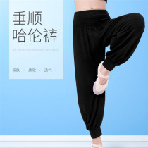 Latin dance suit Boys pants Modal children loose dance practice pants Harlon pants Latin pants Girls