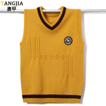 Boys sleeveless sweater vest 12 Primary school students 14 Junior high school students 16-18 years old V-neck knitted vest trend waistcoat