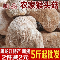 New Heilongjiang farmhouse native specialties small Hericium Erinaceus 500g bulk non-wild dried mushroom nourishing stomach