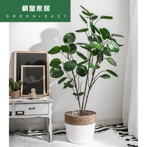 Nordic ins wind simulation money pocket potted Net Red large green plant indoor fake decoration living room floor ornaments tree