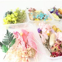 Scattered flower material dried flower flower scented candle floating flower head DIY handmade fan dry flower material bag