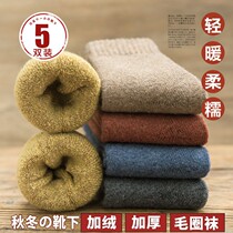 Socks female stockings autumn and winter plus velvet thickened warm cotton socks breathable stockings ladies cotton socks winter stockings