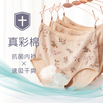 4 high-waisted pure cotton shorts for elderly mothers in Chunwei antibacterial crotch triangle chow fat women's underwear