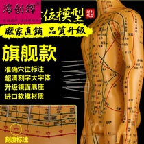  Human body assembly medical meridian diagram teaching Traditional Chinese medicine ACUPUNCTURE acupuncture points Human body model skeleton small tendons and meridians 