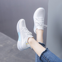 Net shoes womens shoes 2021 new spring and summer single shoes Joker net 2020 sports leisure small white shoes breathable