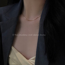 High-grade simple golden snake bone necklace ins cold wind niche design sense simple temperament thin choker neck chain