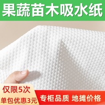 Fruit food Seedling fresh absorbent paper Cherry grape vegetables Steak meat fish ice bag Fresh thickened absorbent paper