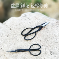 Flower scissors household floral flower arrangement special Japanese pruning flowers flower branches gardening bonsai scissors twigs cutting knives