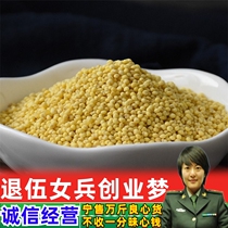 Glutinous rice North glutinous rice medicinal Chinese herbal medicine new 500g glutinous millet yellow glutinous glutinous millet Chinese herbal medicine