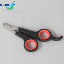  Darling new home parrot nail clipper Bird paw nail beak Bird with nail clipper Pet obtuse scissors