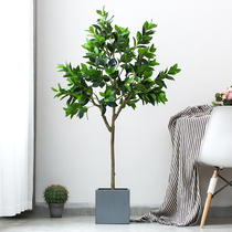 Roman Mom Ground Large Plant Fake Bonsai Creative Pendulum to emulate green plant potted orange trees