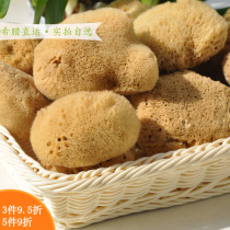 Makeup remover wash blackhead acne wash face primary color silk sponge dark Mediterranean natural cleanser 3 5~4 inches