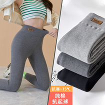 Gray autumn pants women cotton high waist belly leggings wear spring and autumn 2021 New elastic slim tights